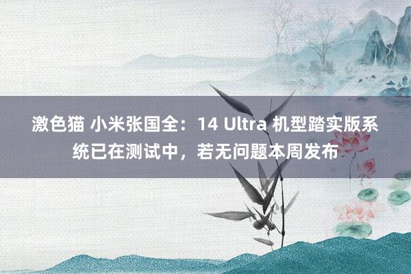 激色猫 小米张国全：14 Ultra 机型踏实版系统已在测试中，若无问题本周发布