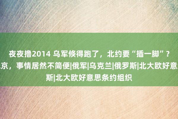 夜夜撸2014 乌军倏得跑了，北约要“插一脚”？俄方高层抵京，事情居然不简便|俄军|乌克兰|俄罗斯|北大欧好意思条约组织