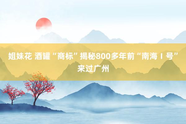 姐妹花 酒罐“商标”揭秘800多年前“南海Ⅰ号”来过广州